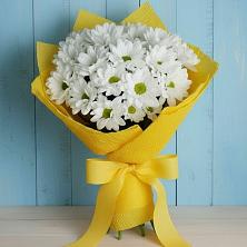 Букет цветов из:  Хризантемы в Бохане