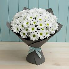 Букет цветов из:  Хризантемы в Бохане