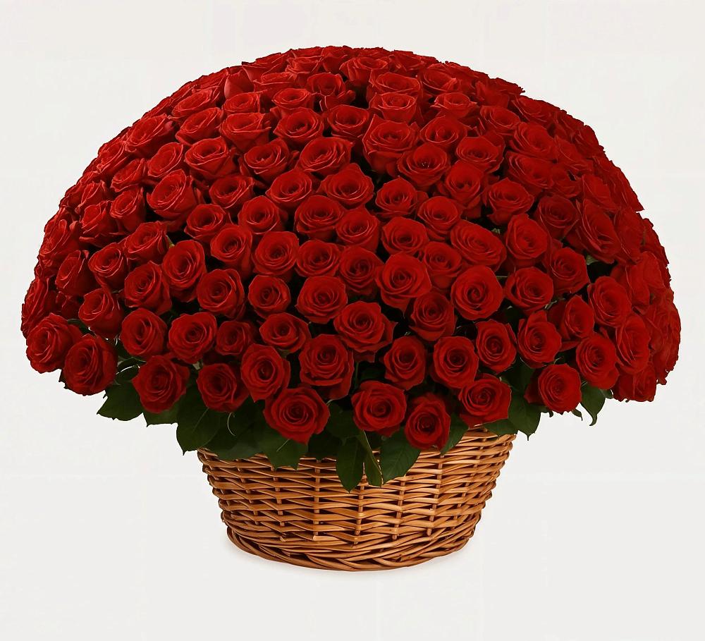 Премиум букет из: Розы в Бохане