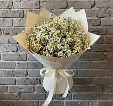 Букет цветов из:  Ромашки #REPLACE_PRED# Бохане
