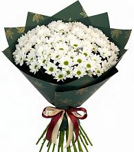 Букет цветов из:  Хризантемы #REPLACE_PRED# Бохане