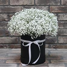 Цветочная композиция из Гипсофила в шляпной коробке в Бохане
