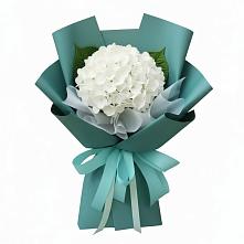 Букет цветов из:  Гортензия в Бохане